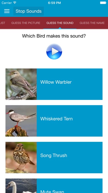 Spanish Birds and Sounds screenshot-3