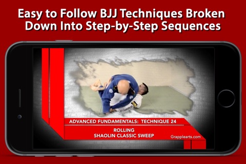 Advanced Fundamentals of Brazilian Jiu-Jitsu by Brandon Mullins and Stephan Kesting screenshot 2