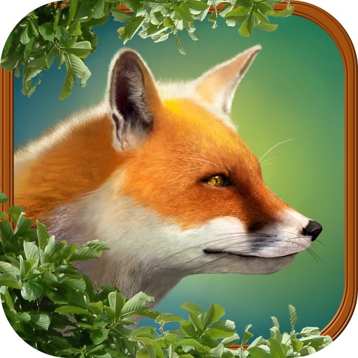 Zoo: Animal Story iOS App