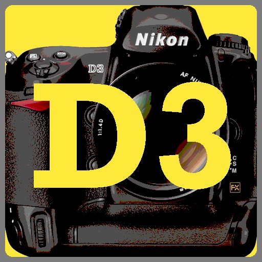 D3 DSLR icon