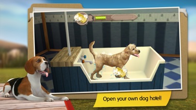DogHotel - My hotel for labradors, terriers and bulldogs Screenshot 2