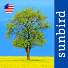 Tree Id USA - identify over 1000 of America's native species of Trees, Shrubs and Bushes