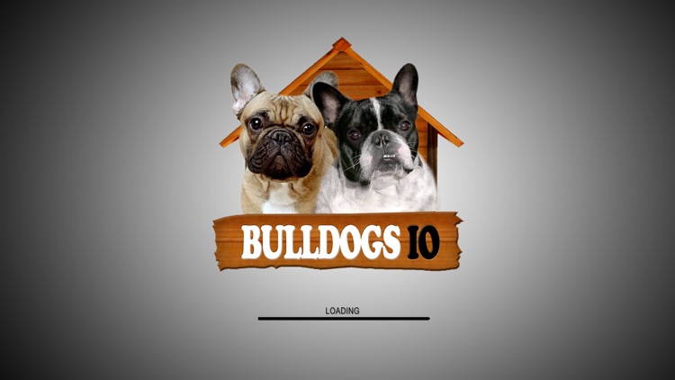 Bulldogs IO