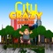 Crazy Runner The City Free