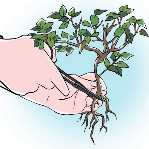 How to Prune Bonsai: Tips and Guide icon