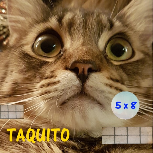 Taquito game - Math balls kids free mental calculation game Icon