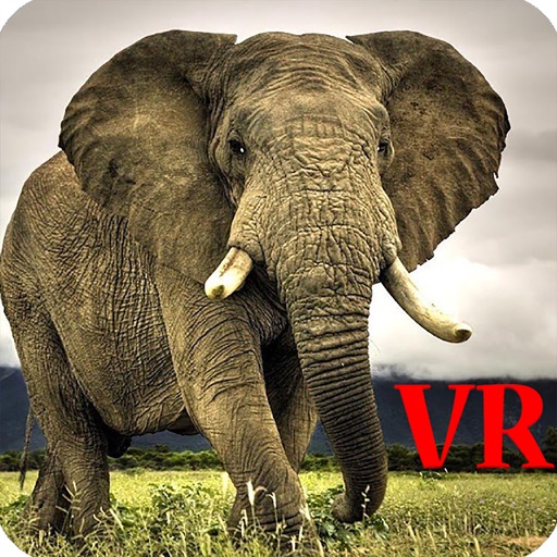 VR Elephants Icon