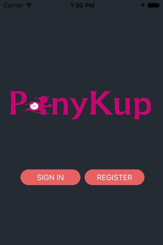 PonyKup screenshot 2