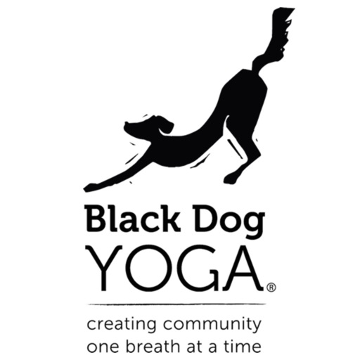 Black Dog Yoga icon