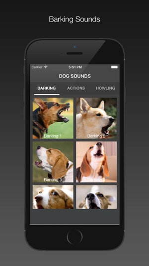 Dog Sounds - Free(圖1)-速報App