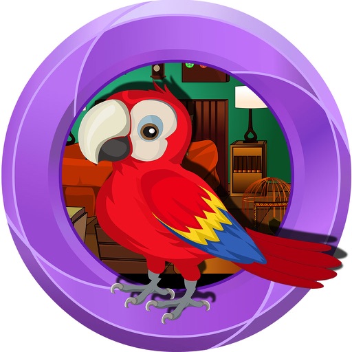 807  Parrot Escape icon