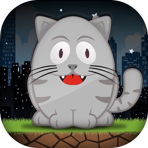 FatCatFly iOS App