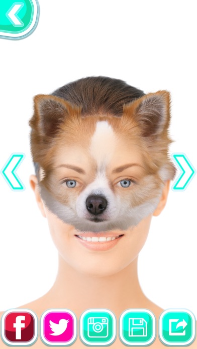 子犬 顔 チェンジャー 無料 かわいい 動物 ヘッド 写真 編集者 とともに 犬 ステッカー Iphoneアプリ Applion