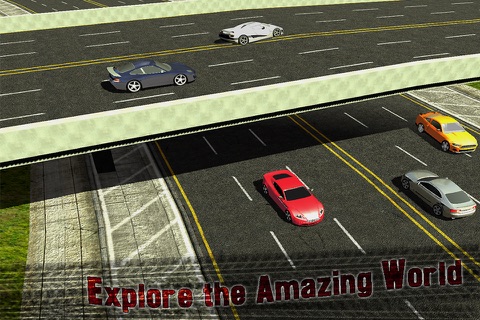 Highway Traffic Extreme Race screenshot 2