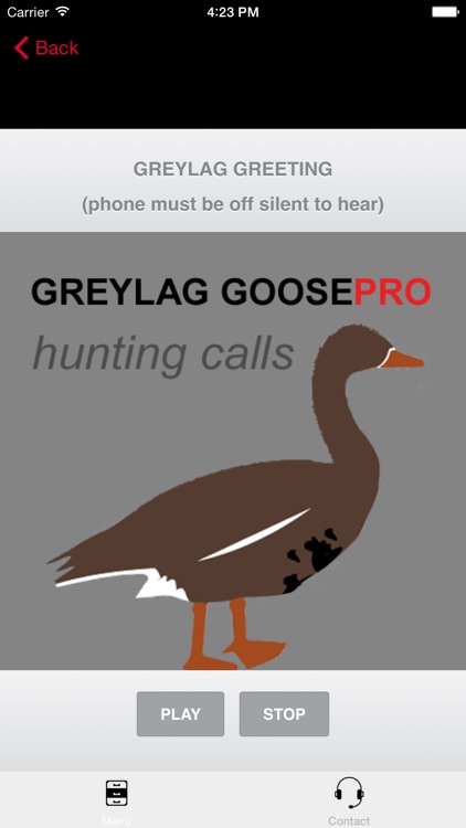 REAL Greylag Goose Hunting Calls & Greylag Goose CALLS & Greylag Goose Sounds! - BLUETOOTH COMPATIBLE screenshot-0