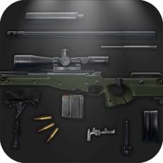Activities of AWP Sniper Rifle: Remove & Reinstall, Funny Trivia Game - Lord of War
