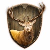 Head Shot: Deer Hunt