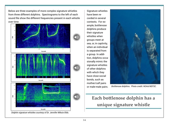 discovery-of-sound-in-the-sea-book-i-importance-of-sound-on-apple-books