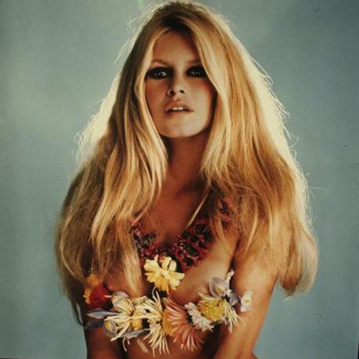 Brigitte Bardot icon