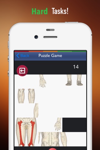 Memorize Human Anatomy Bones by Sliding Tiles Puzzle: Learning Becomes Fun screenshot 4