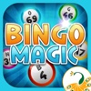 Bingo Magic-Adventure