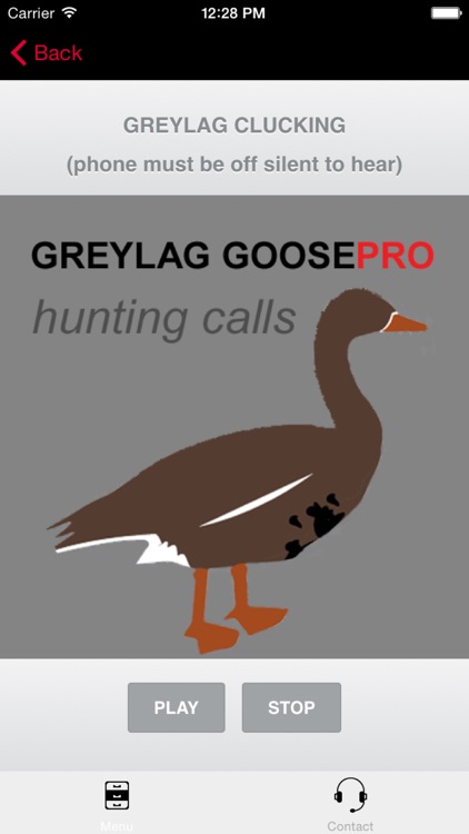 REAL Greylag Goose Hunting Calls - Greylag Goose CALLS & Greylag Goose Sounds! screenshot-0