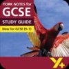 Lord of the Flies York Notes for GCSE 9-1 for iPad