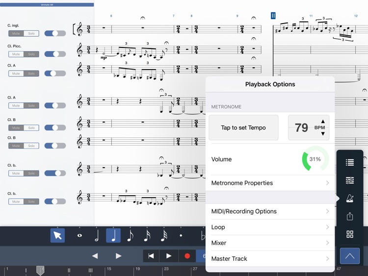Symphony Pro