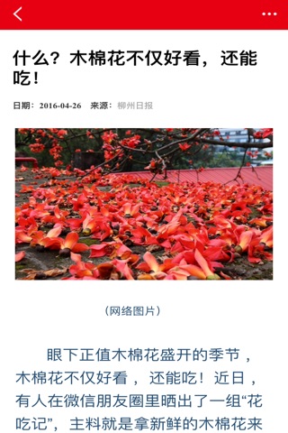 柳州日报 screenshot 3