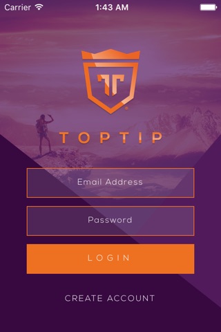 Toptip Game screenshot 4