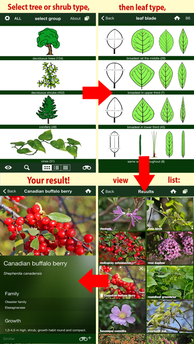 How to cancel & delete Tree Id Canada - identify over 1000 native Canadian species of Trees, Shrubs and Bushes from iphone & ipad 3