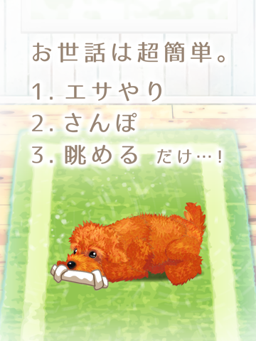 癒しの子犬育成ゲーム〜トイプードル編〜（無料）のおすすめ画像2