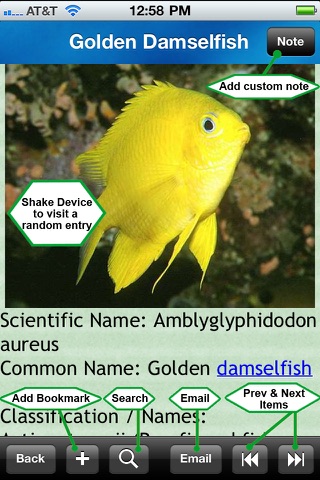 Reef Fishes Encyclopedia screenshot 4