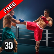 Activities of Thai Box Fighting Challenge 3D