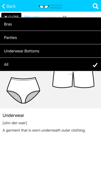 Fashion Picture Dictionary screenshot-3