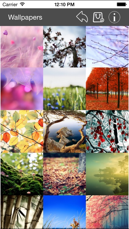 Wallpaper Collection Nature Edition screenshot-3