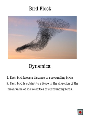 Bird Flocking: NewMath screenshot 2