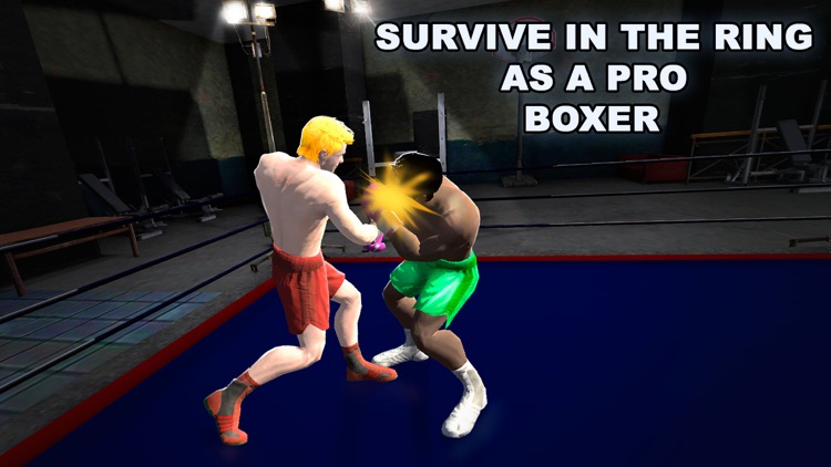 Real Punch Box Fighting 3D Full