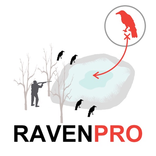 Raven Hunting Strategy Hunting Simulator for Bird Hunting - Ad Free icon