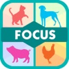 Focus Pet ! - Can You See Them Change?