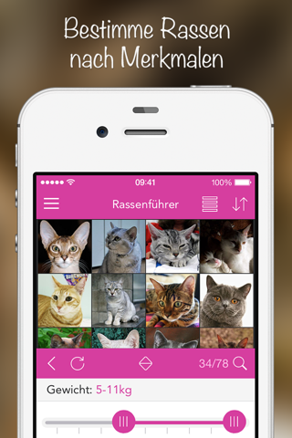 iKnow Cats 2 PRO - Cat Breed Guide screenshot 2