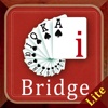 iBridge lite red level-Ex1 - learn and play with D. Pilon
