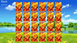 Game screenshot Fruit World Free hack