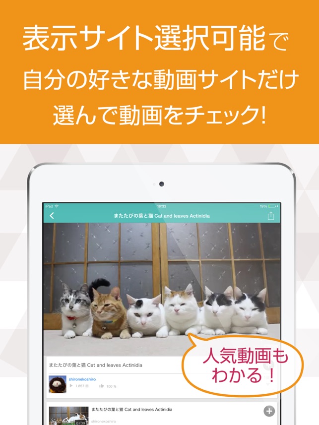 ねこ猫動画 猫の最新動画まとめ For Youtube Im App Store