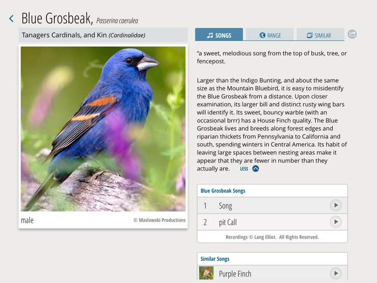 A Chorus of Songbirds screenshot-4