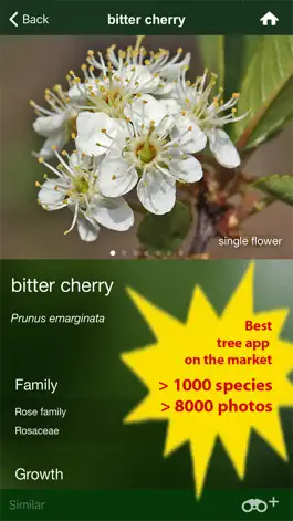 Game screenshot Tree Id USA - identify over 1000 of America's native species of Trees, Shrubs and Bushes apk