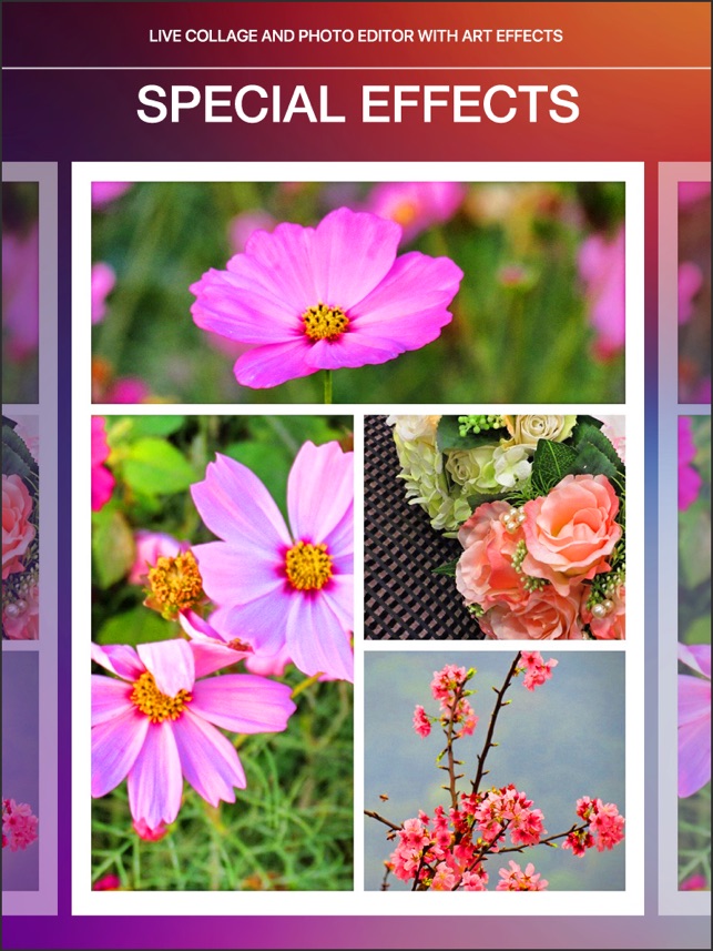 License code picture collage maker pro 4.1 4.0.5 serial license code picture collage maker pro 4.1 4.0.5 serial