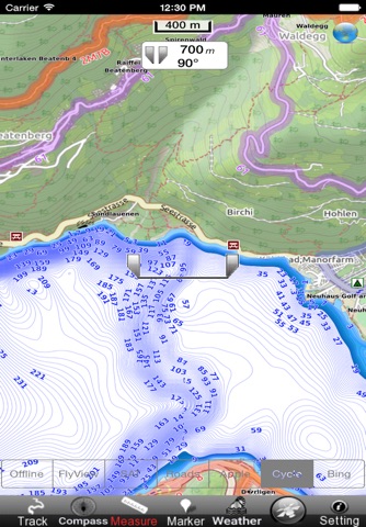 Thunersee und Brienzersee HD - GPS Navi Karte für bootfahren angeln und segeln screenshot 2