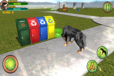 Rottweiler Dog Life Simulator screenshot 4