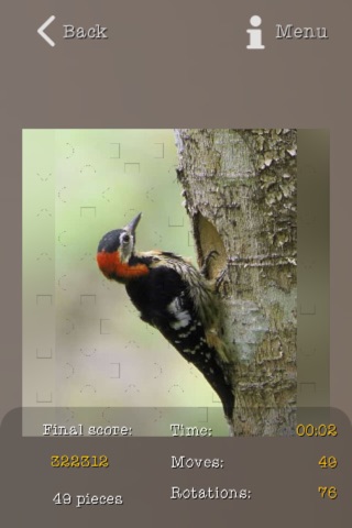 Woodpeckers Puzzles screenshot 3